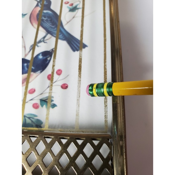 Set of two (2) Vintage Trompe L'oeil Style Framed Birds in Birdcage Brass Decor - Picture 11 of 11